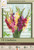 Gladiolus Mardi Gras 12/14 10P