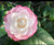 Camellia Nuccio's Pearl #3