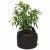 Smart Pot 5 Gallon