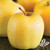 Apple 'GOLDEN YELLOW DELICIOUS' #3