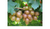 Muscadine Carlos 2 Gallon