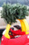 SANTA TREE DELIVERY WEBSITE for 2 trees