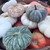 PUMPKIN HEIRLOOM NOVELTY ASST