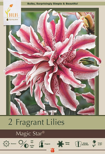 【α_Lily★】新品  Original スーパースター Lily Double Magic Star 16/18 2PP - Cofer's Home & Garden
