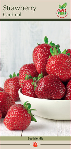 Strawberry Cardinal 15PP - Cofer's Home & Garden