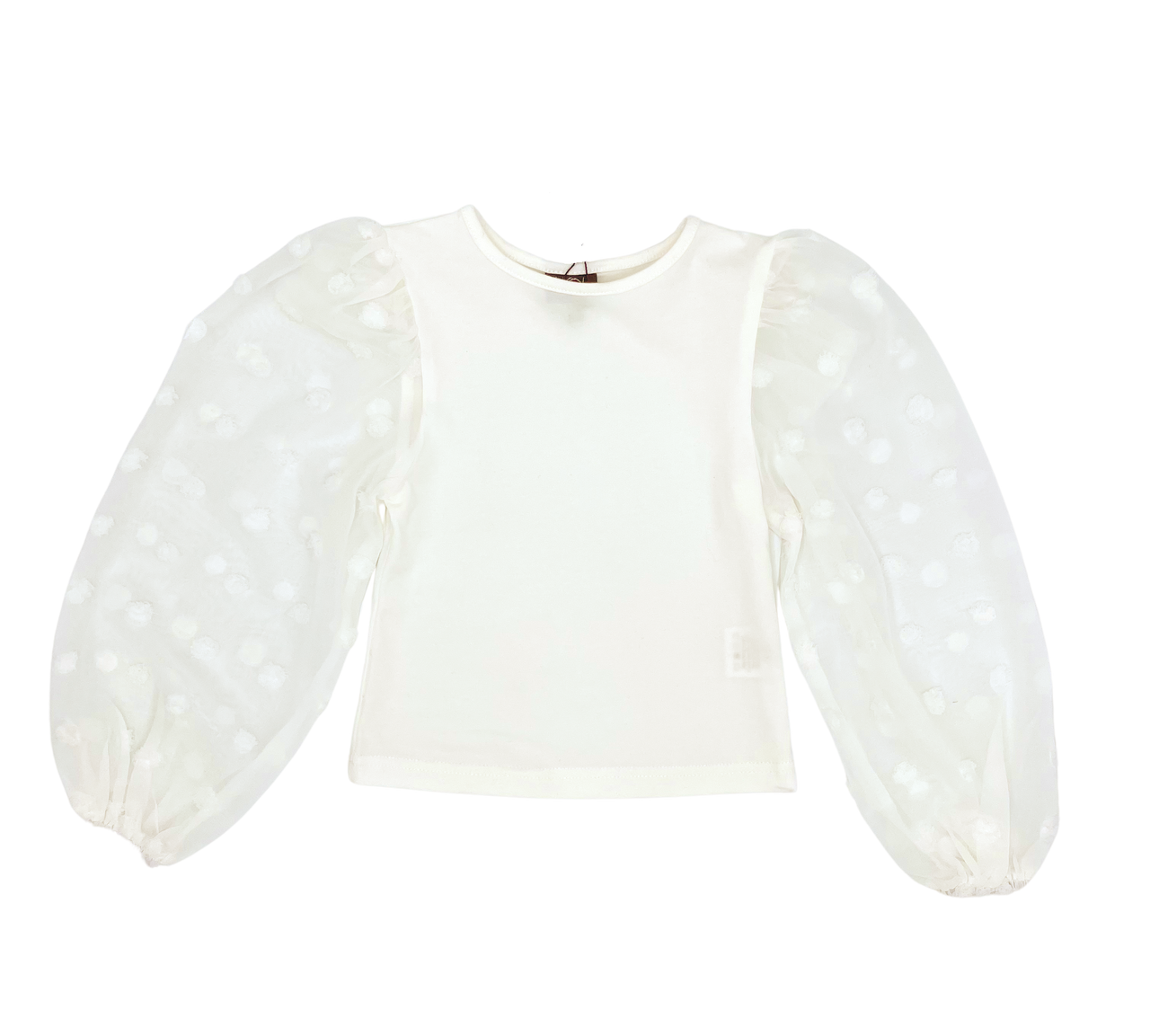 White Sheer Sleeve Top - Monday's Child