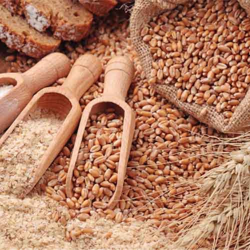 Rocky Mountain™ Wheat, Hard Red Winter Rocky Mountain™ Wheat, Hard Red Winter