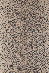 Erin Gates Woodland WOD-2 Beige Area Rug