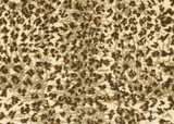 Cape Town Cheetah Runner Rug