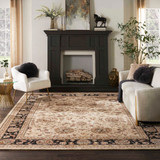 Nourison 2000 2207 Beige Rug