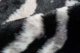 Momeni Zebra Acadia ACA-1 Rug