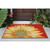 Trans Ocean Liora Manne Frontporch 1417/24 Rug