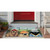 Liora Manne Frontporch 2418/44 Rug