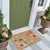 Trans Ocean Liora Manne Beachcomber Frontporch Rug