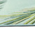 Liora Manne Marina 8151/04 Palm Border Rug