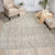 Nourison Ellora ELL02 Stone Modern Rug