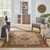 Nourison TA01 Tahoe Reserve Rug