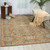 Nourison Timeless TML14 Mocha Area Rug