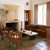 Saga Origin Green Solid Rug