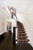 Grand Parterre Black Kashan Stair Runner