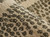 Momeni Teppe TEP-4 Natural Area Rug close up
