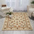 Nourison 2000 2023 Rug