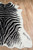Momeni Acadia ACA-1 Black Zebra Rug - side view