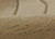 Momeni Canyon CYN-1 Neutral Wool Rug - Pile View