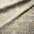 Jaipur Living RHA17 Rhapsody Rug