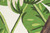 Veranda VR-62 Green Indoor Outdoor Rug