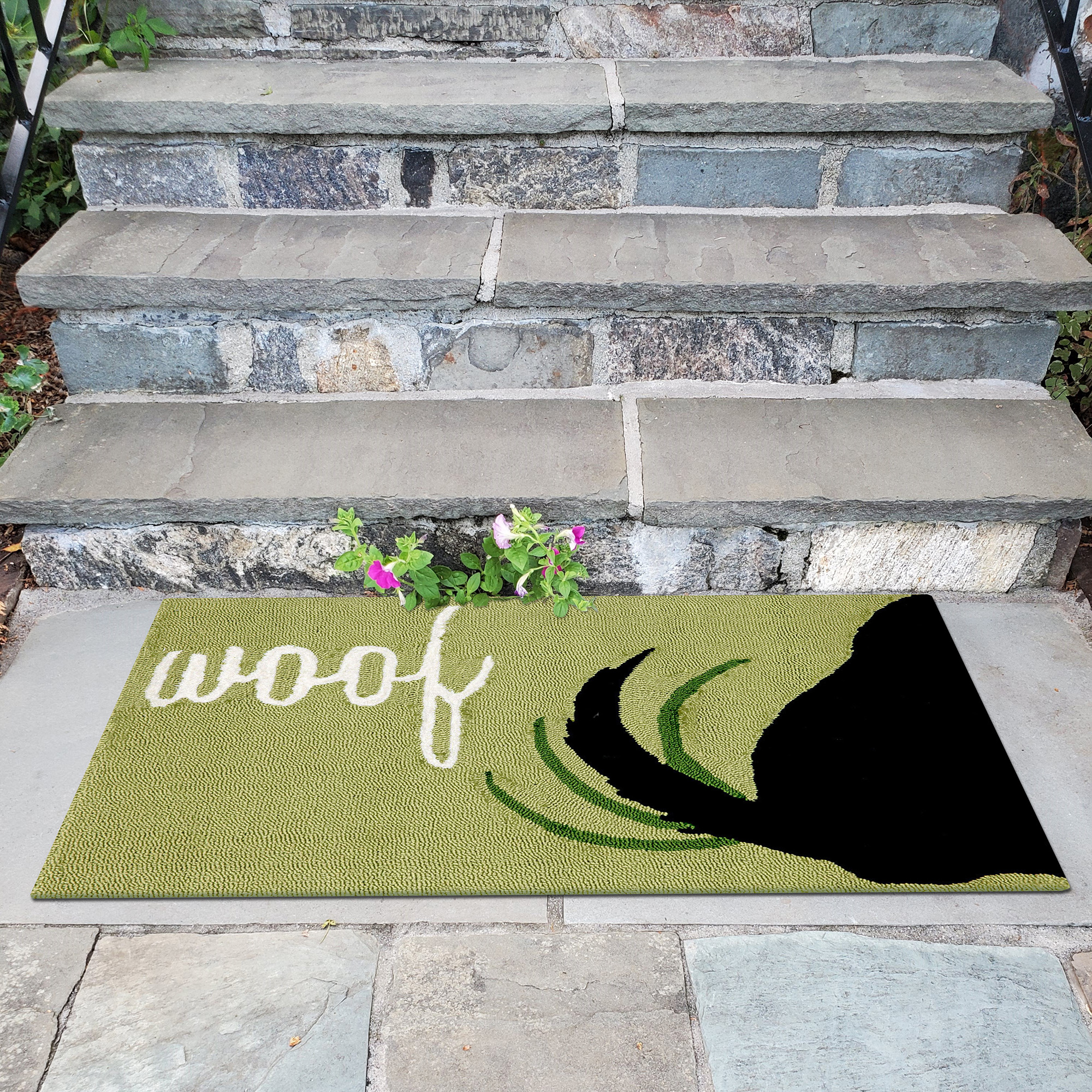 Trans Ocean Liora Manne Frontporch 1429/06 Woof Green Area Rug