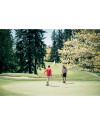 Alki Polo Valiant Stripe VTL_LFS_HG 1 Thumbnail Image