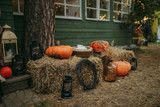5 Fun & Unforgettable Fall Festivals In and Around Seattle (2024)