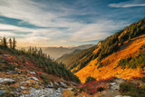 Where to See Fall Foliage in the Pacific Northwest