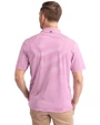 Indianapolis Colts Mono Cutter & Buck Virtue Eco Pique Stripe Recycled Mens Polo Gelato Fuchsia Back