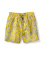B & T Jetty Paisley Swim Short 1