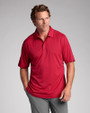 Big & Tall CB DryTec Chelan Polo 1