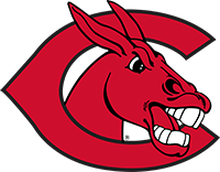 Central Missouri Mules