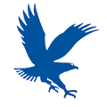 Embry-Riddle Eagles