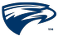 Emory Eagles gifts team logo