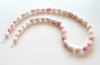  Conch Shell(Bahamas) 9x3mm to 7x11mm CS1 