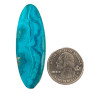 Cabochons Ray Mine Chrysocolla (Arizona) 54x19x7mm CHRi 