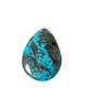 Cabochons Sonoran Gold Turquoise - 36x27x4mm - SGC2 
