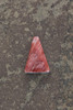 Cabochons Spiny Oyster Shell( Baja California)   SPO04 