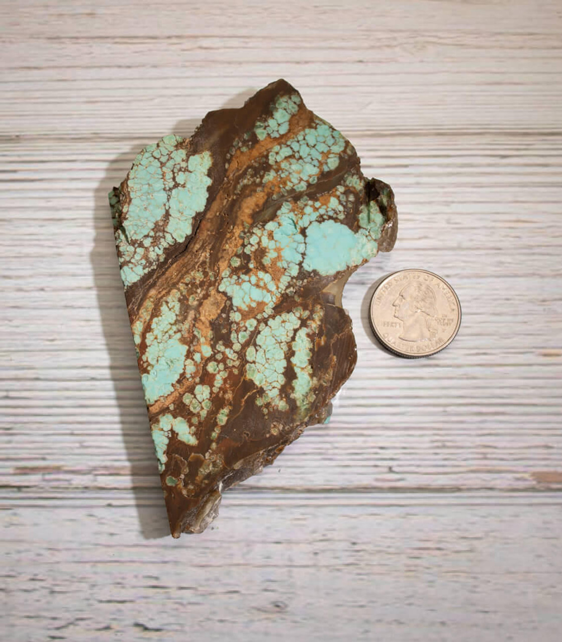  Number 8 Mine Turquoise Rough Slabs(Stabilized)  8RR4b 