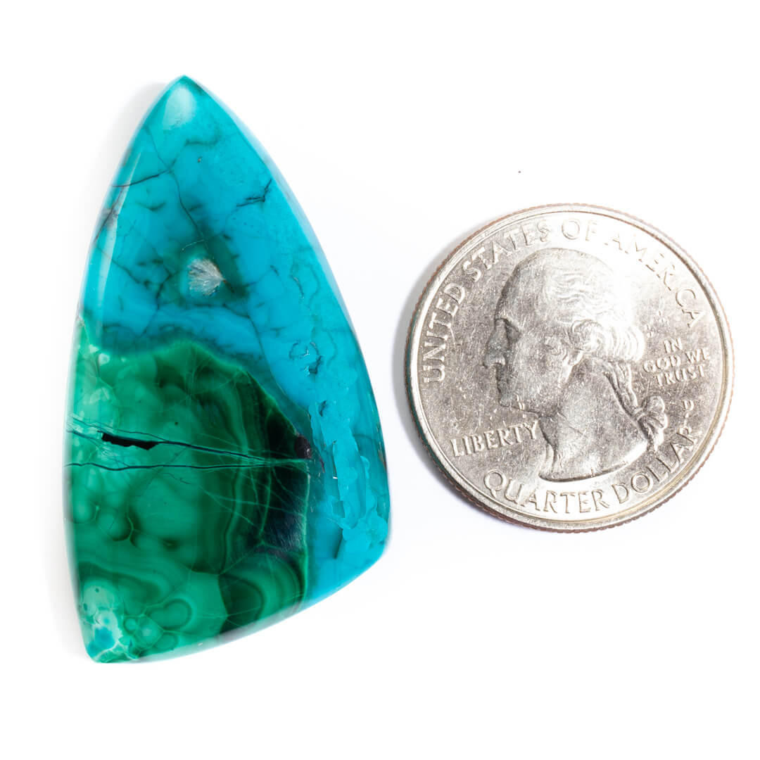 Cabochons Chrysocolla-Malachite  40x26x6mm CM1b 