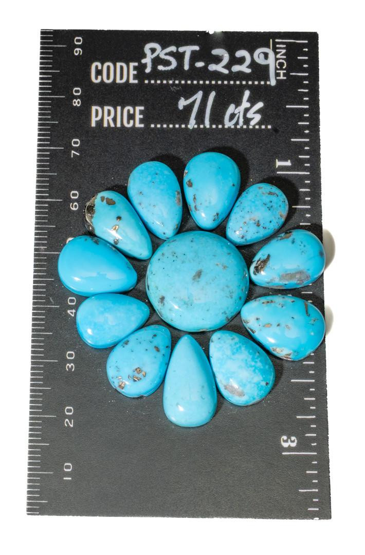 Turquoise Cabochons Persian Turquoise set  PST-229  71cts 