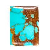 November Newsletter & Events