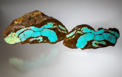  Number 8 Mine Turquoise Rough(Stabilized)  8R1a 