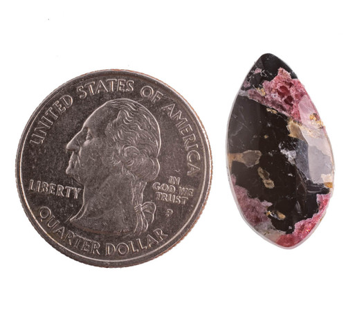 Cabochons Eudialyte (Canada) 24x13x5mm  E1r 